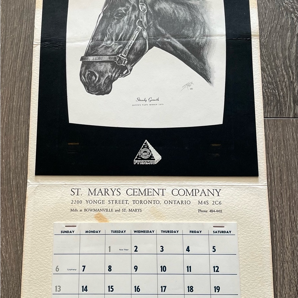 Vintage 1980 Steady Growth Print on Wall Calender